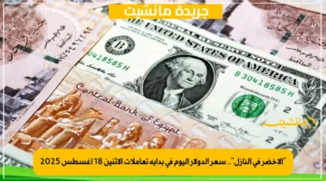 “الأخضر في النازل”.. سعر الدولار اليوم في بداية تعاملات الاثنين 18 أغسطس 2025